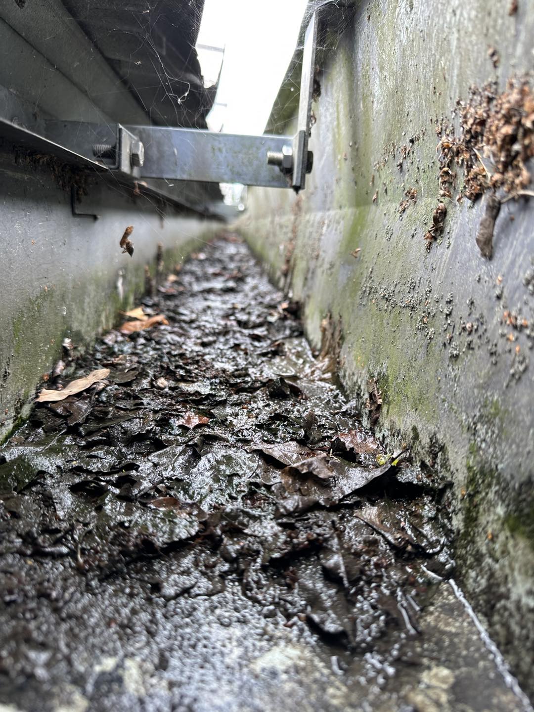 Gutter Cleaning - Maidstone, Kent